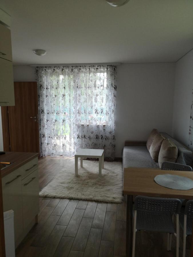 Kristinos Apartment ดรูซกินินไก ภายนอก รูปภาพ