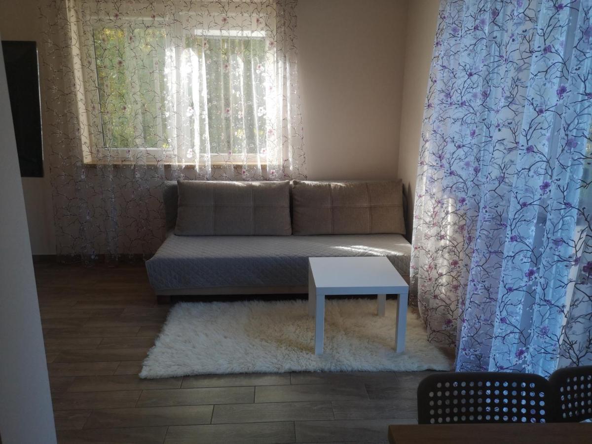 Kristinos Apartment ดรูซกินินไก ภายนอก รูปภาพ